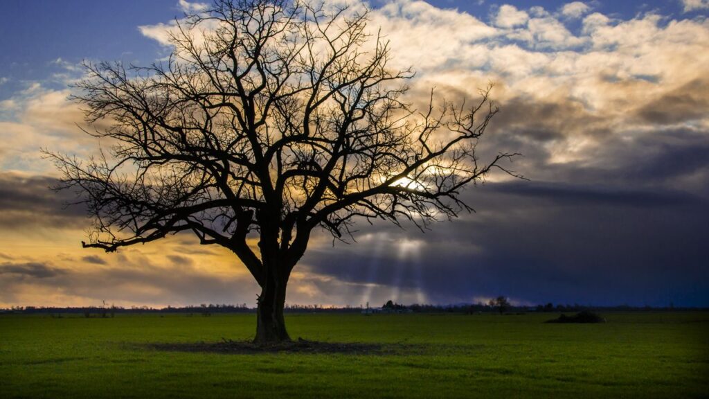 12 шагов в Чернигове: преимущества, молитва, названия шагов