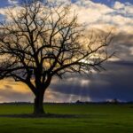 12 шагов в Чернигове: преимущества, молитва, названия шагов