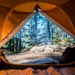 Подолання свавілля