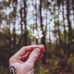 Унікальна стабільність