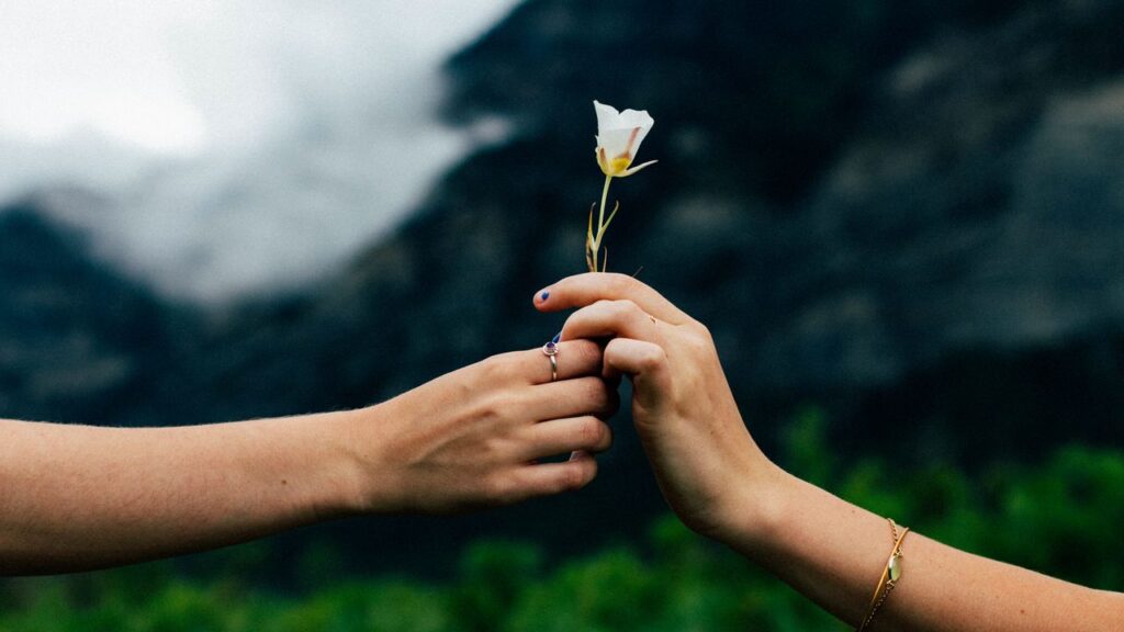 Прополка саду