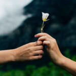 Прополка саду