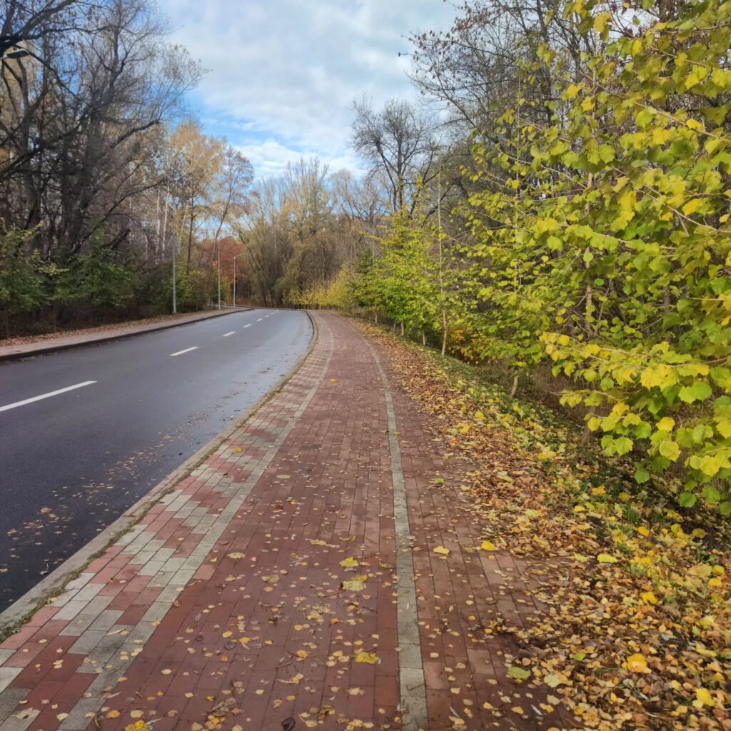 В чому Успіх АА в Чернігові